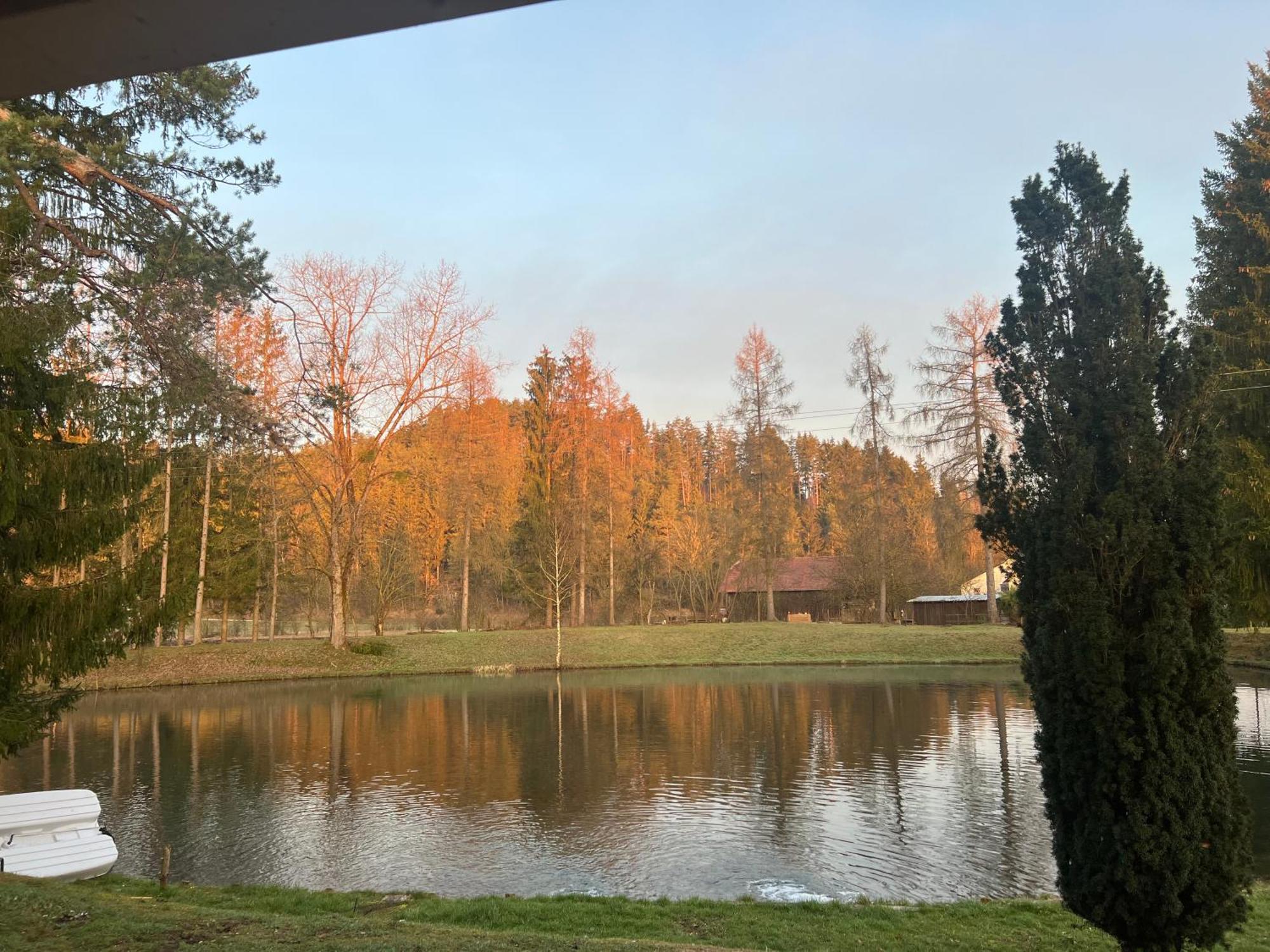 Apartamento Haus Am Fischteich Feistritz ob Bleiburg Exterior foto