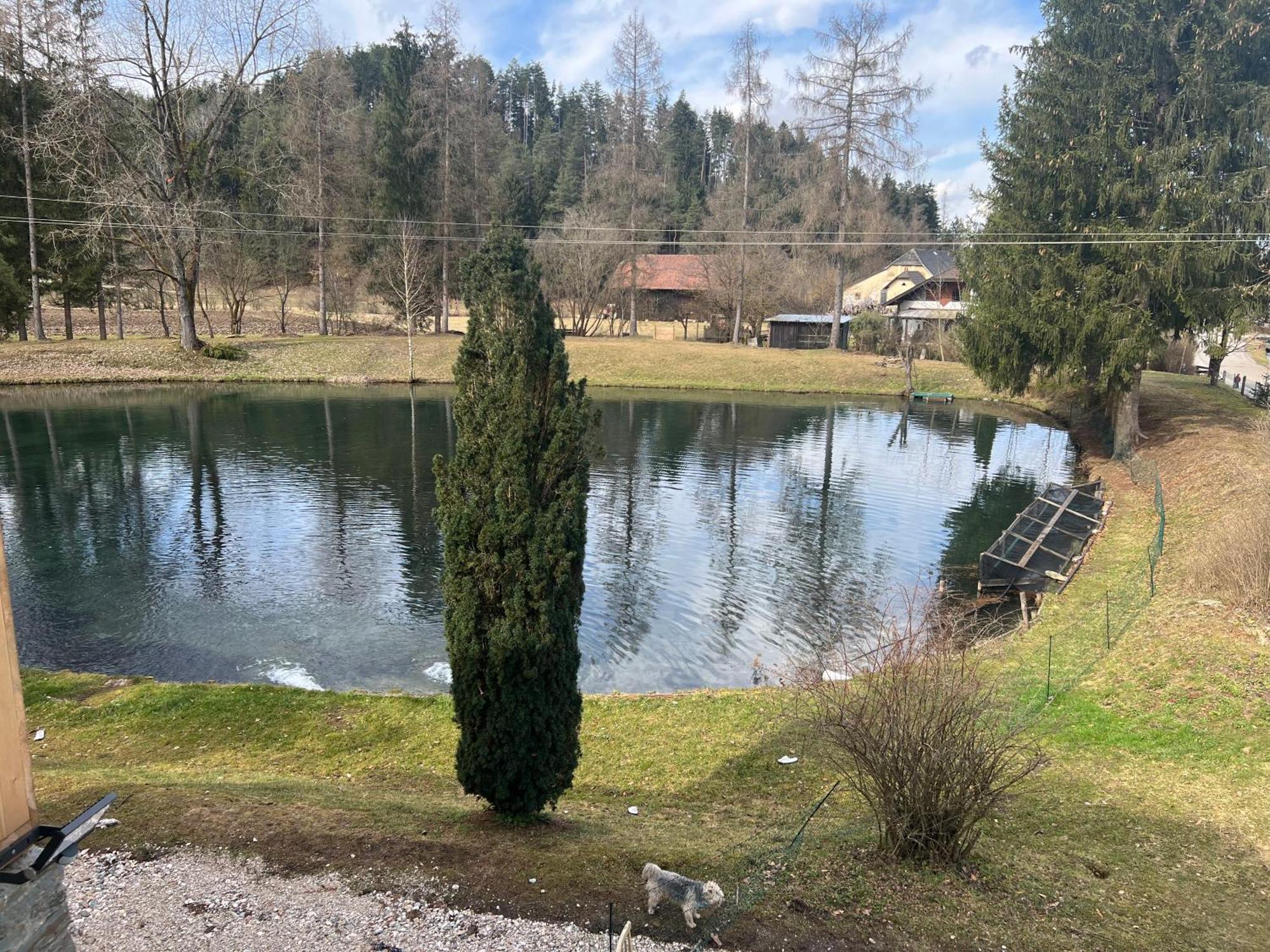 Apartamento Haus Am Fischteich Feistritz ob Bleiburg Exterior foto