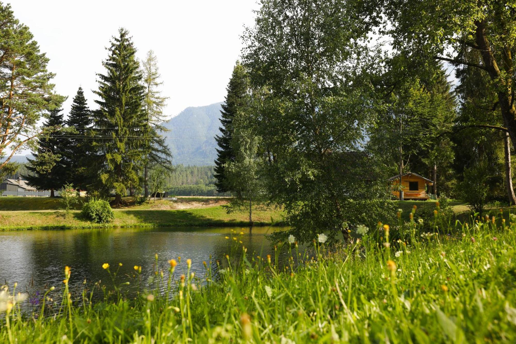Apartamento Haus Am Fischteich Feistritz ob Bleiburg Exterior foto