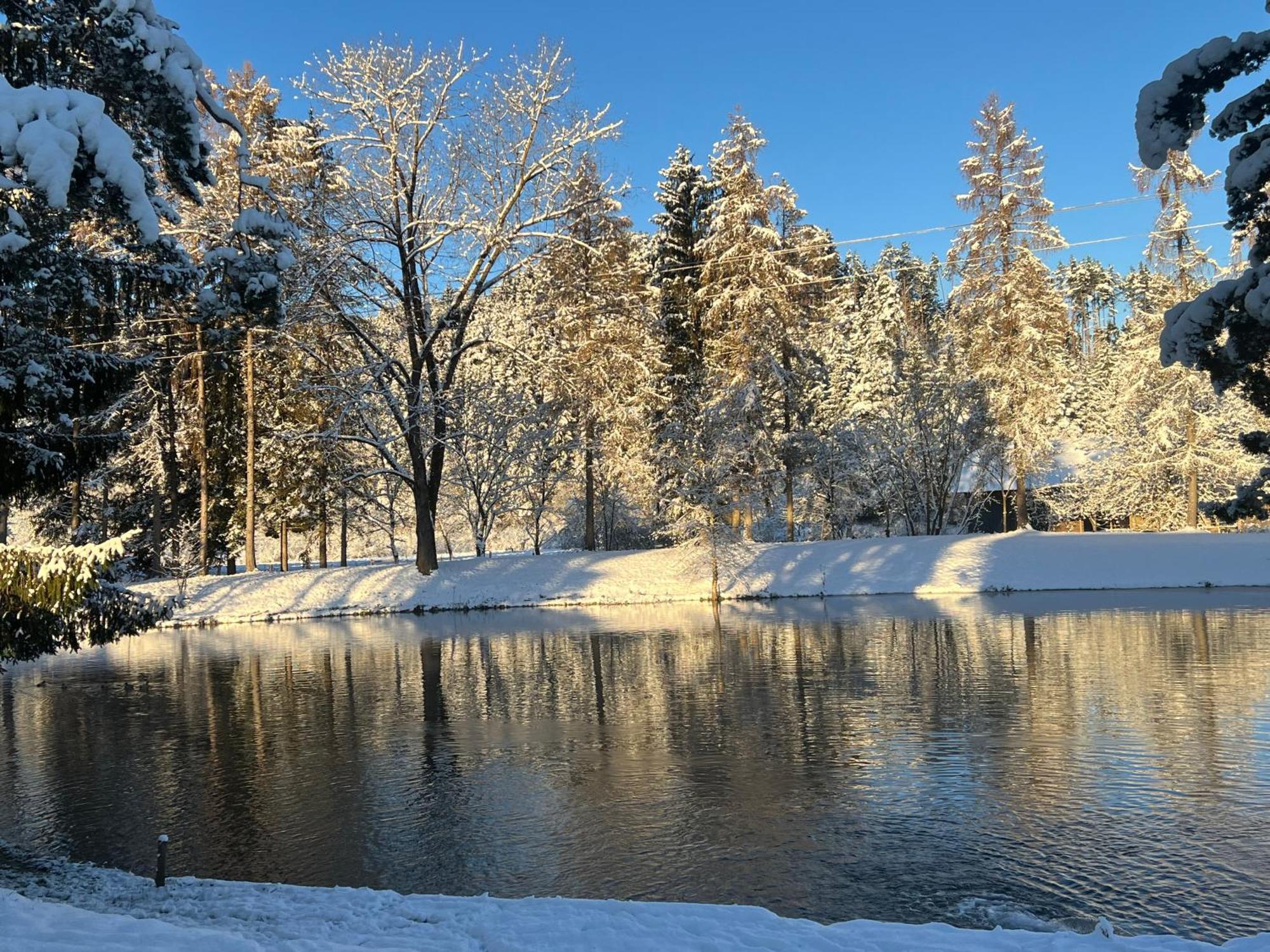 Apartamento Haus Am Fischteich Feistritz ob Bleiburg Exterior foto